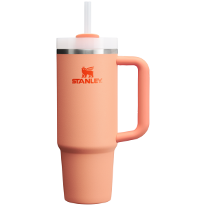 The Quencher H2.0 Flowstate? Tumbler
